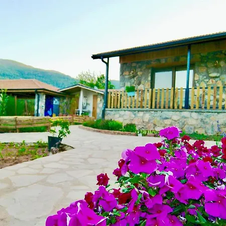 Dedehan Retreat ホテル *