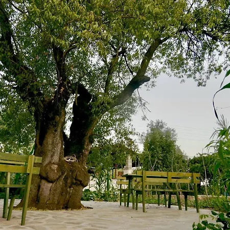 Dedehan Retreat