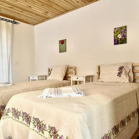 Hotel Dedehan Retreat *