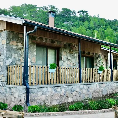 Dedehan Retreat ホテル