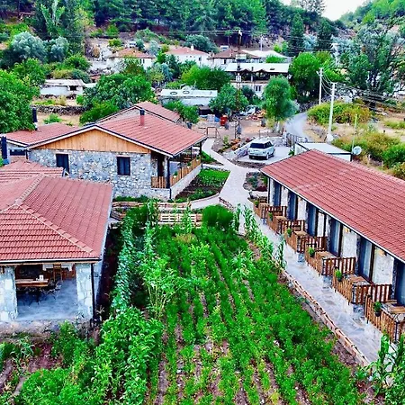 Hotel Dedehan Retreat *