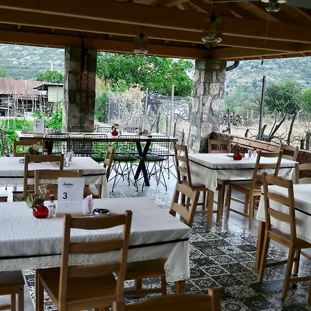 ホテル Dedehan Retreat *