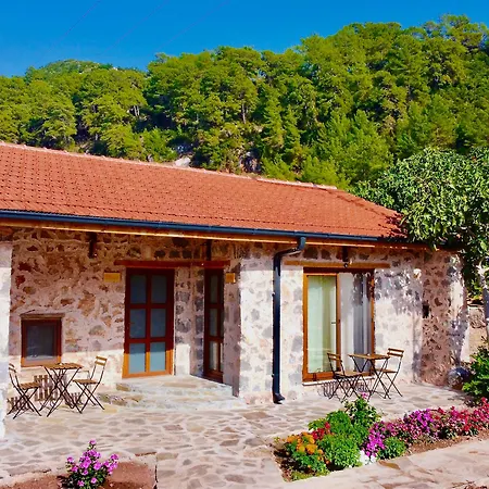 Hotel Dedehan Retreat *